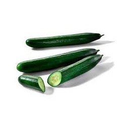 Pepino corto