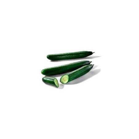 Pepino corto