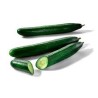 Pepino corto