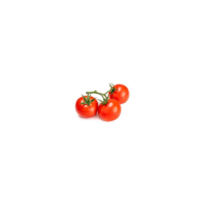 Tomate rama Tomate rama