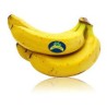 Plátano Canarias