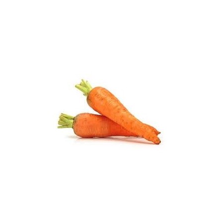Zanahorias
